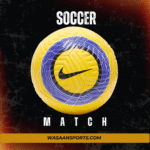 Nike Flight Series 2021/2022 Official Match Soccer Ball – Size 5