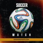 Adidas Brazuca 2014 FIFA World Cup Official Match Ball Size 5 – FIFA Quality Pro Soccer Football