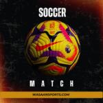 Nike Flight Official Match Ball of the Premier League