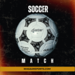 Adidas Questra – 1994 FIFA World Cup USA Official Match Ball (Size 5, Collectors Edition)